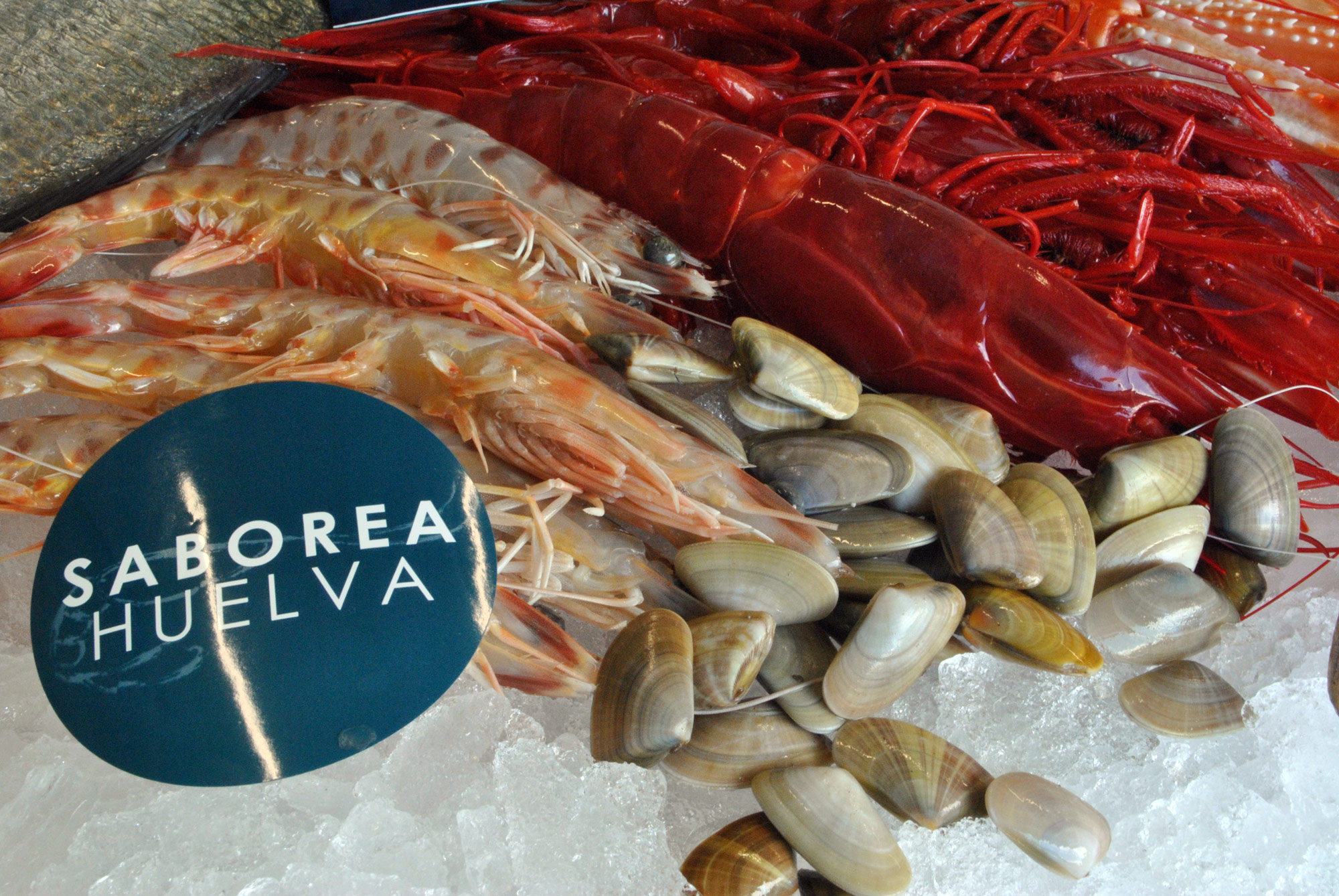 Quienes-somos-Grupo-Saborea